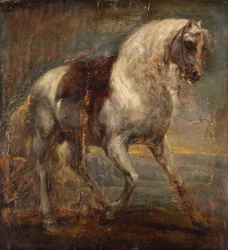 Un caballo gris